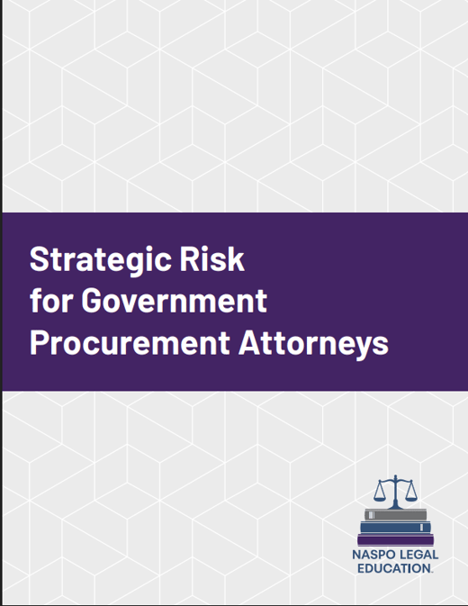 Strategic Risk Paper Cover